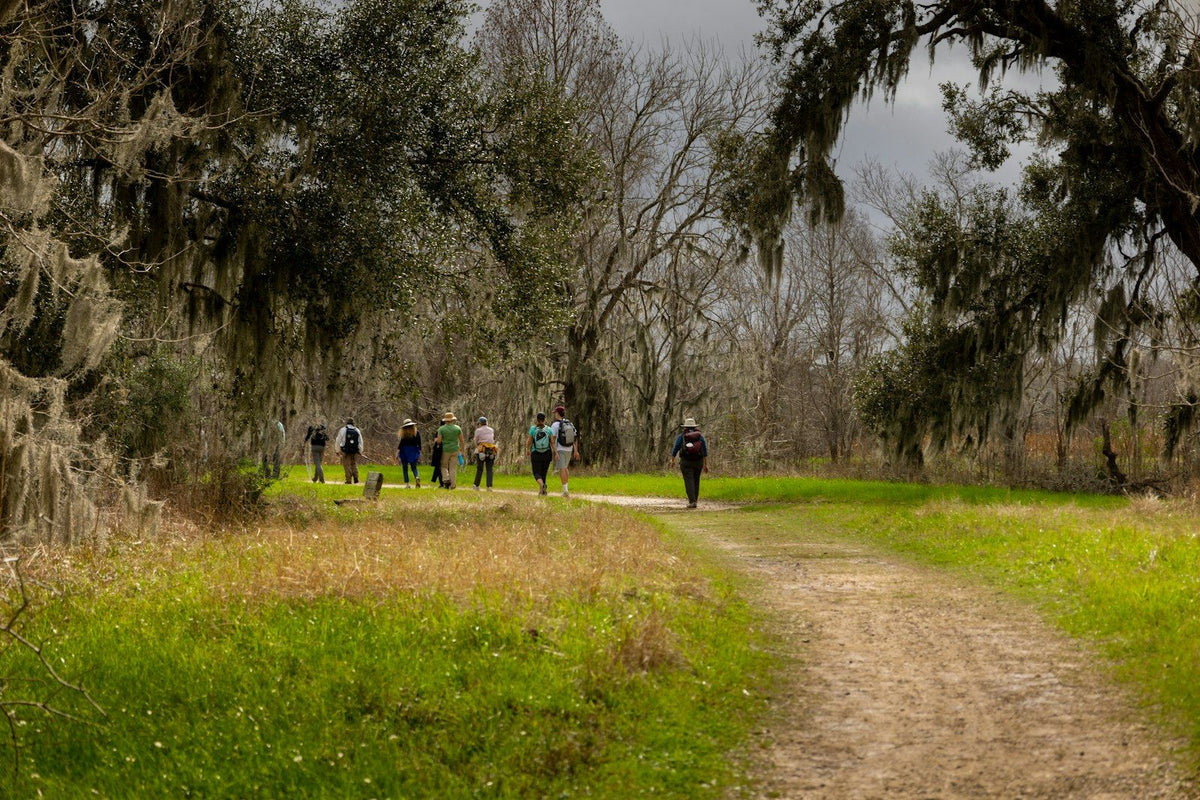 Friends hiking under live oaks and Spanish moss at Brazos Bend State Park