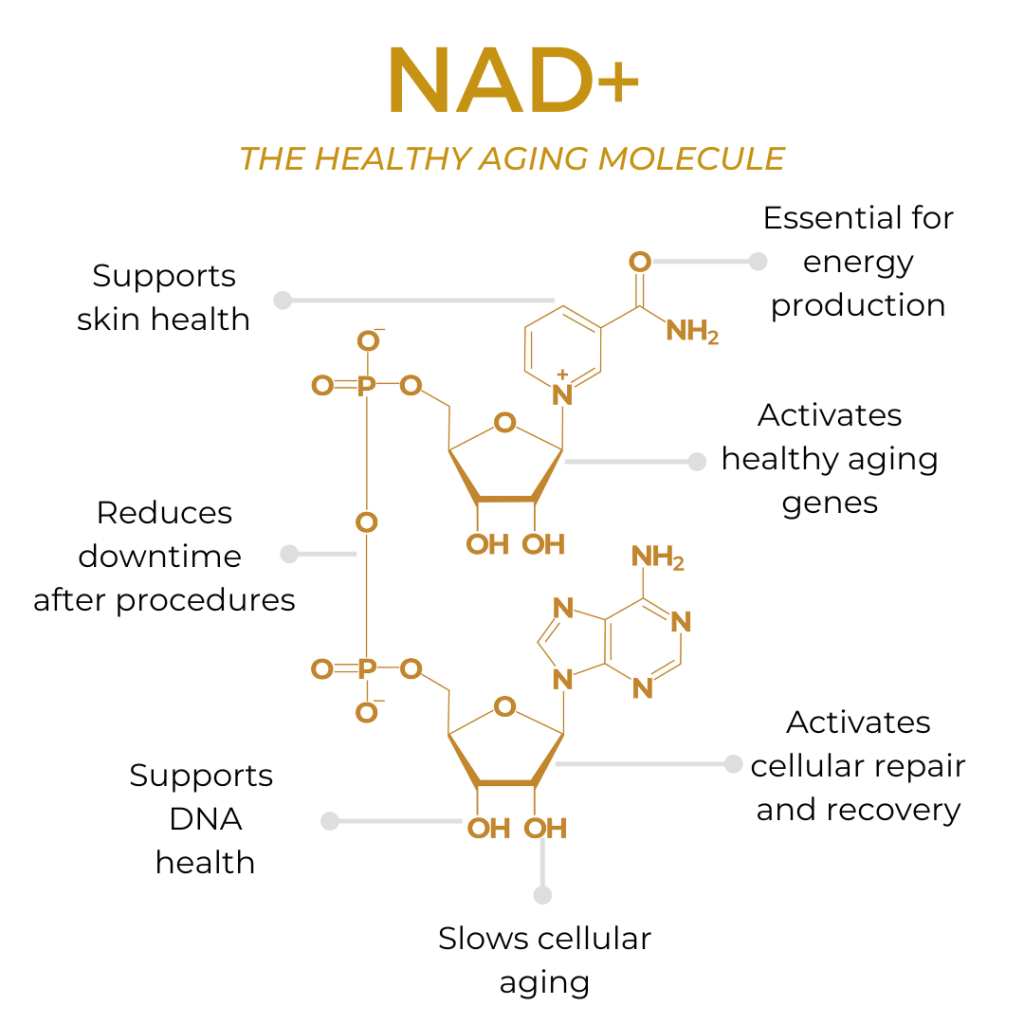 NAD+ Support Troche