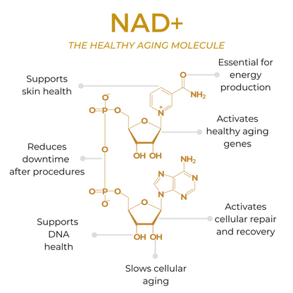 NAD+ Support Nasal Spray - second image