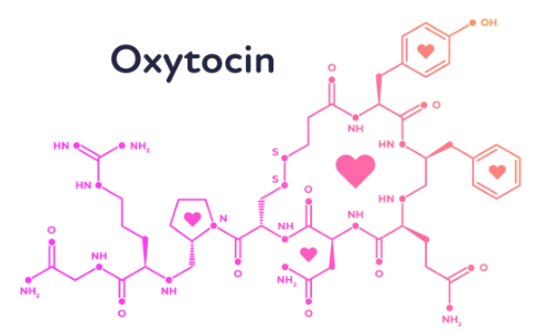 Oxytocin ODT
