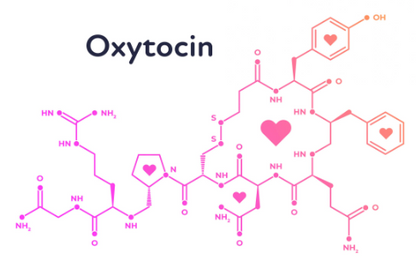 Oxytocin Nasal Spray - second image